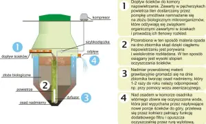 Schemat wyjaśnia, jak działa oczyszczalnia ścieków: dopływ, napowietrzanie, rozkład biologiczny, osad i odpływ oczyszczonej wody.