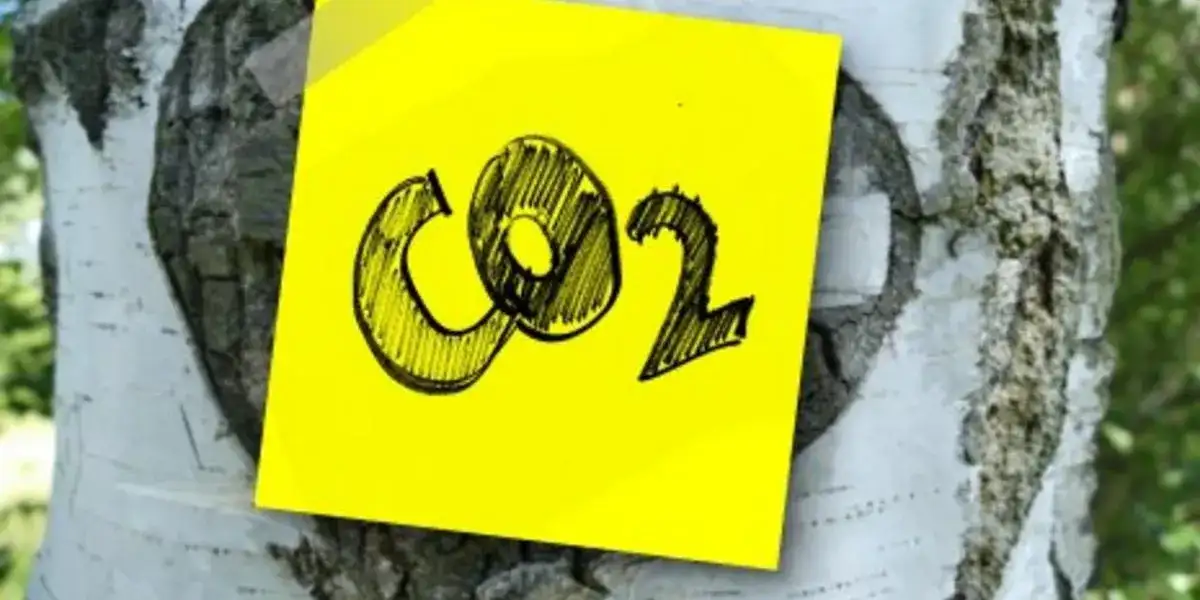 Emisja CO2 w Polsce: Jak znacząco spadły emisje i co to oznacza?