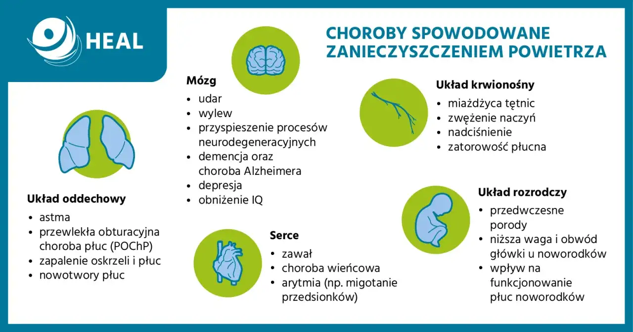 Infografika pokazuje, co to jest smog i jakie choroby powoduje: problemy z mózgiem, układem oddechowym, krwionośnym, sercem i rozrodczym.